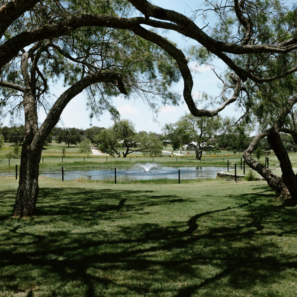 la vernia wedding venue