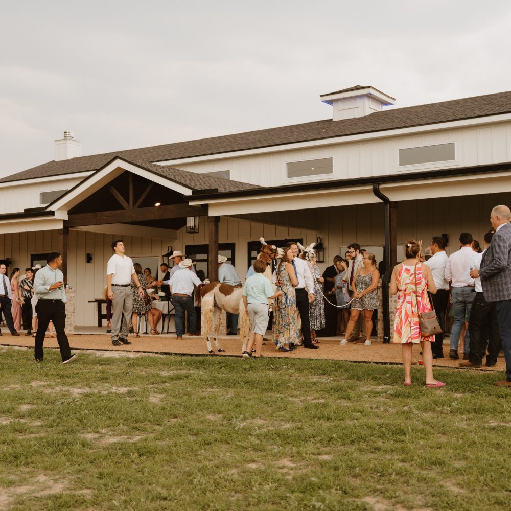 la vernia wedding venue